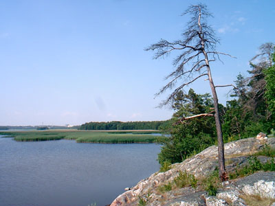 Maisemaa
