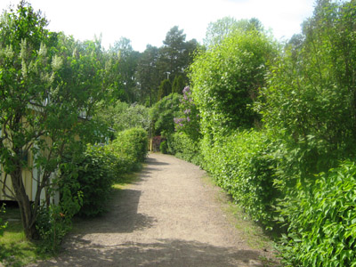 Siirtolapuutarha