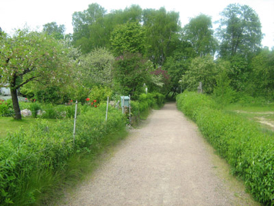 Siirtolapuutarha