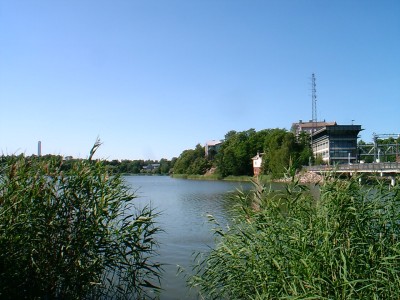 Linnunlaulua